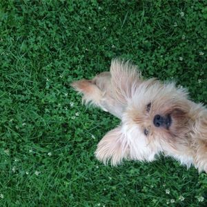 Meet your Posher, Edward